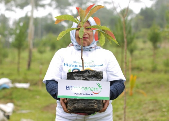 Fokus Jalankan Praktik Bisnis Berkelanjutan, BRI Masuk Dalam Daftar CNBC Indonesia Green Business Ratings 2024