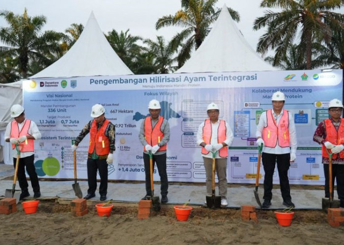 Dukung Hilirisasi Ayam Terintegrasi Perkuat MBG, PTPN IV PalmCo Siapkan Lahan