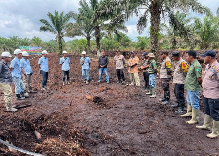 Dukung Ketahanan Pangan, PT Kaswari Unggul Tanam Jagung Pakan Bersama Polsek Geragai