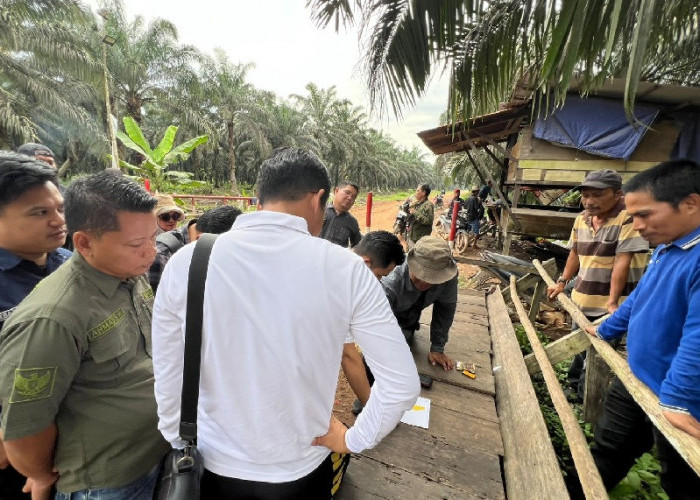 Polres Muaro Jambi Cek TKP Dugaan Pencurian Sawit Betung, Muncul Fakta Lahan Masuk Kawasan Hutan
