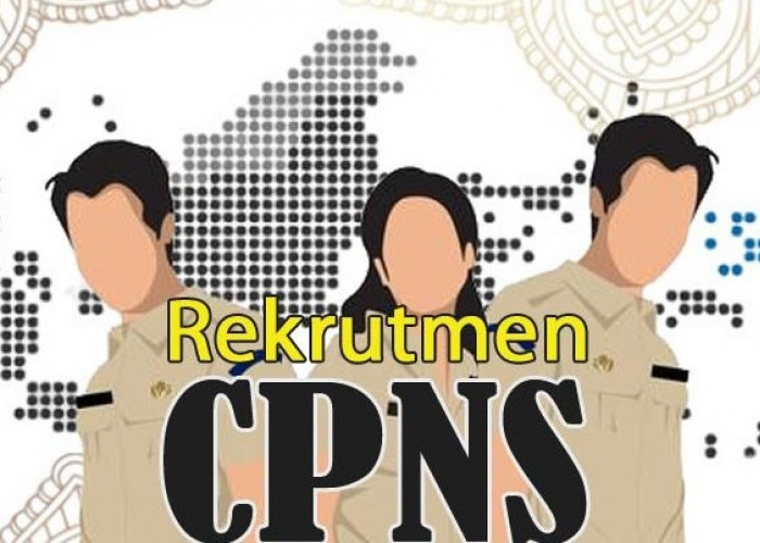 Terbaru Rekrutmen CPNS 2024: Lowongan Untuk PPPK 1.605.694, CPNS 690.822, Berikut Rinciannya 