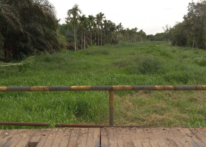 Sungai Alam Pangkal Bulian Tanjabtim Mulai Dangkal, Akibatnya Sejumlah Jalan dan Rumah Terendam Air Luapan