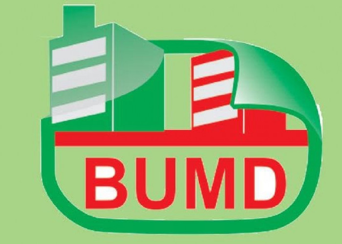 Penunjukan Direktur BUMD Muaro Jambi Disorot, Seleksi Minim Transparansi dan Diduga Sarat Kepentingan Politik