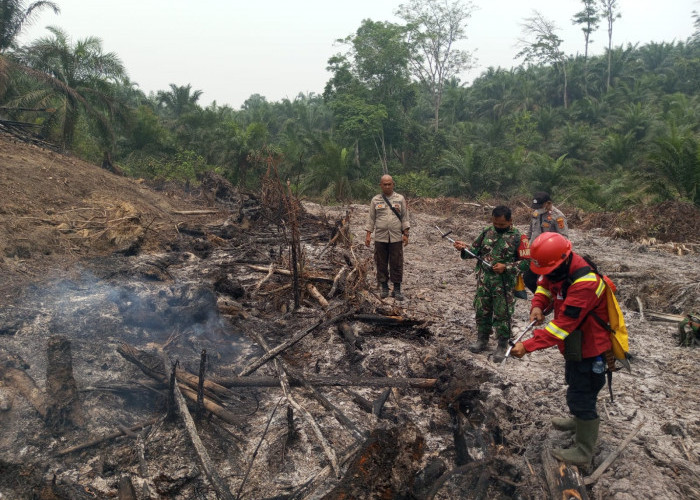 Tim Gabungan Padamkan Hotspot di Desa Pelayangan Batanghari