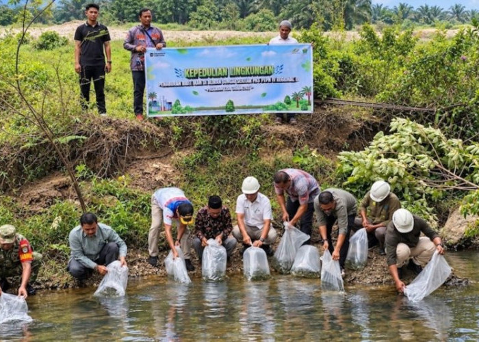 PalmCo Tebar 60 Ribu Bibit Ikan Perkuat Ekosistem Sungai di Riau