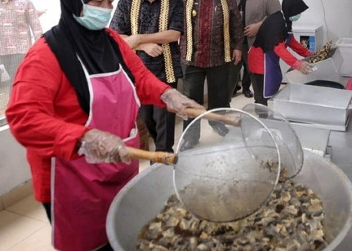 Produsen Keripik Kulit Ikan Rafins Snack Mendunia, Berkat KUR BRI dan Rajin Ikut Pameran