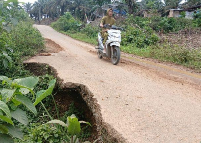 Jalan Provinsi Jambi di Perbatasan Sumbar Terancam Putus