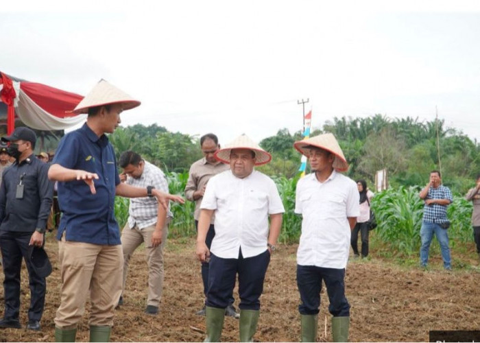 PTPN IV Regional 4 dan Polda Jambi Tanam Jagung Bersama