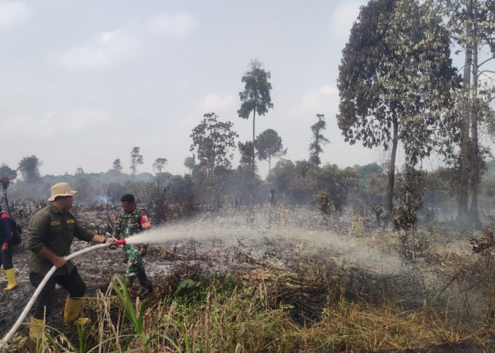15 Hektare Lahan Gambut di Kabupaten Tanjab Barat Terbakar 