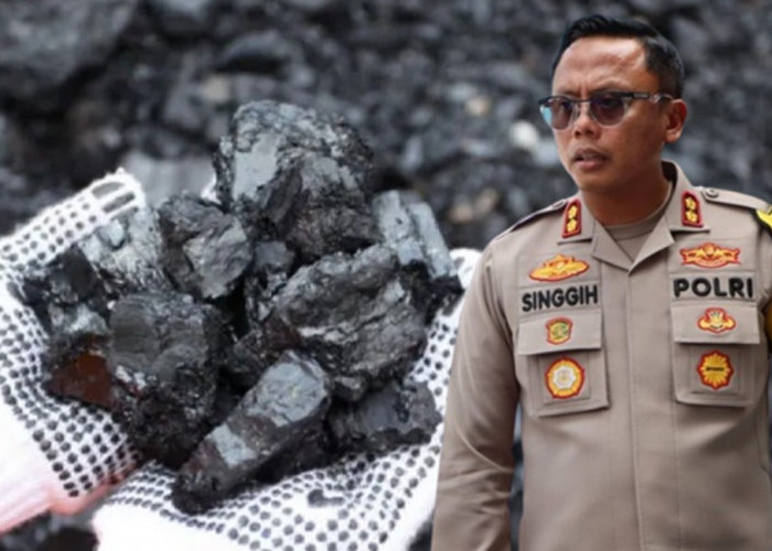 Diam-diam Batu Bara Bungo Dijual ke Pulau Jawa Secara Ilegal via Jalan Lintas Sumatera