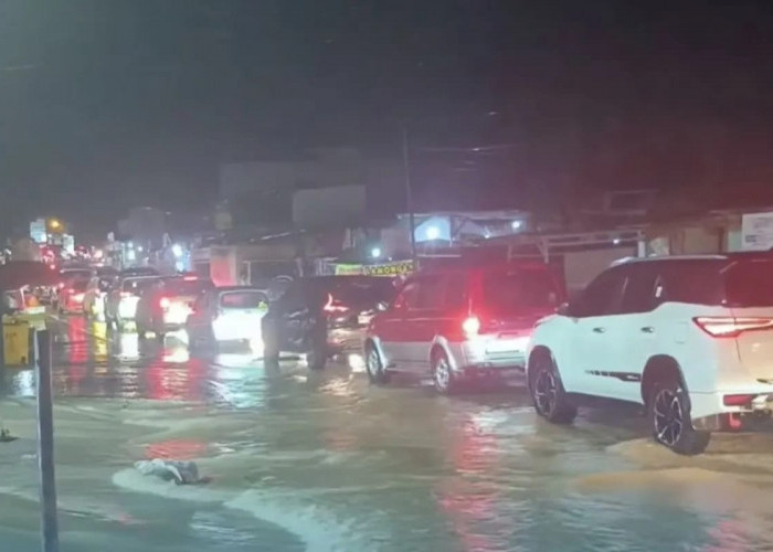 WALHI: Banjir Kota Jambi Akibat Pembangunan Abai Lingkungan