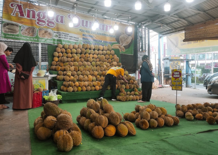 Asyik Nian Kuliner Durian di Kota Jambi, dari Ngemper di Trotoar Hingga Terhidang Dalam Ruko