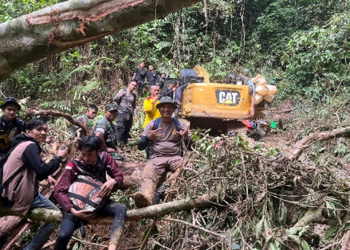 Tertibkan PETI di Bungo, Aparat Bakar Base Camp Pelaku 