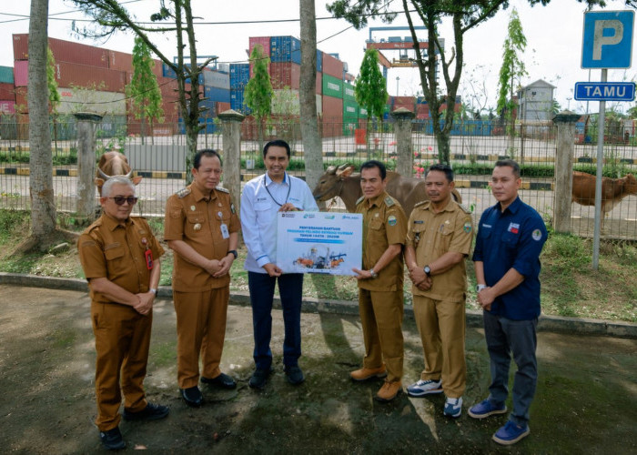 Pelindo Regional 2 Jambi Tebar Kepedulian, Salurkan Hewan Qurban untuk Masyarakat Muaro Jambi
