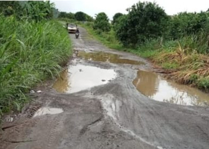 Jalan Kabupaten di 5 Desa Kerinci Rusak Parah, Warga Kritik 3 Dewan Dapil 5