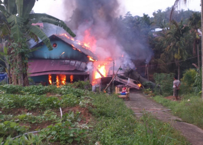 Satu Unit Rumah Semi Permanen Berlantai Kayu Hangus Terbakar, Pemilik Syok hingga Pingsan