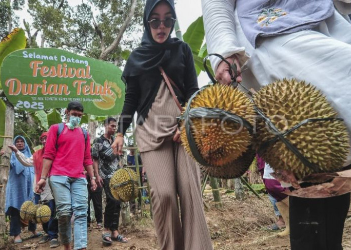 Festival Durian Teluk 2025 di Batanghari