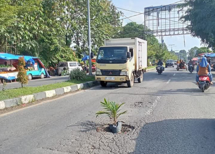 Dinas PUPR Bungo Laporkan Kerusakan Jalan Lintas Sumatera ke Balai Jambi, Penanganan Sementara Dilakukan