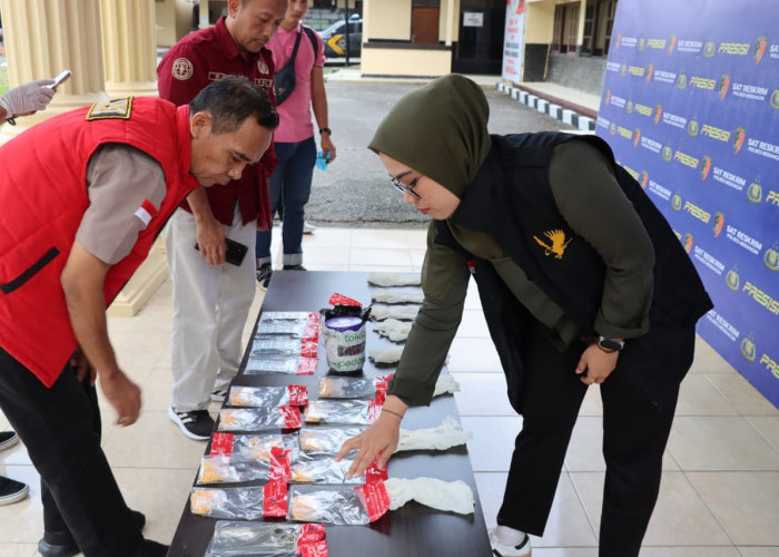 Sat Reskrim Polres Merangin Bongkar Peredaran Obat Ilegal, Tiga Tersangka Diamankan