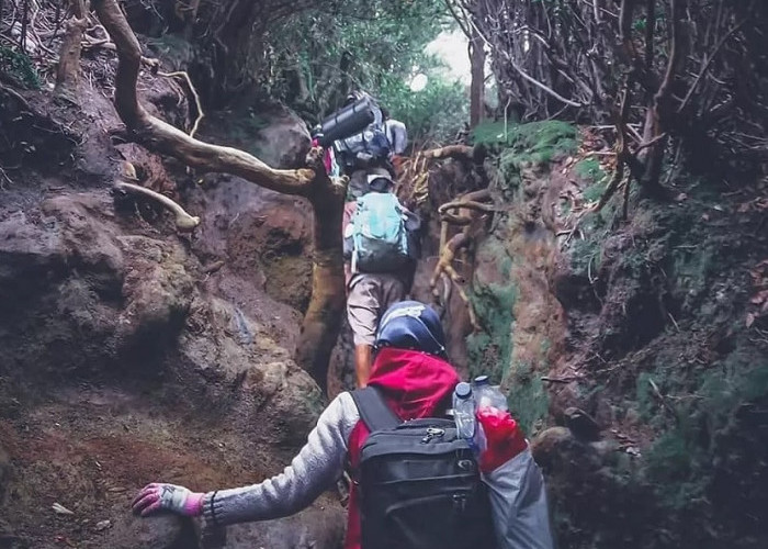 Gunung Kerinci Tetap Jadi Magnet, Kunjungan Wisata TNKS Meningkat