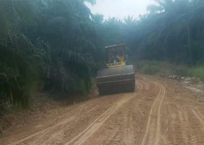 PTPN IV Perbaiki 12 Km Jalan Desa di Muaro Jambi, Akses Mobilitas 1.750 KK Kini Lancar