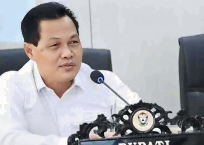 OTT di Sumsel, KPK Tangkap Bupati Muara Enim Edison