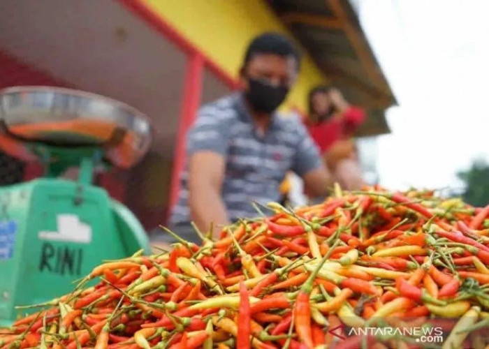 Harga Pangan, Cabai Rawit Rp 64.940/kg, Bawang Putih Rp42.600/kg