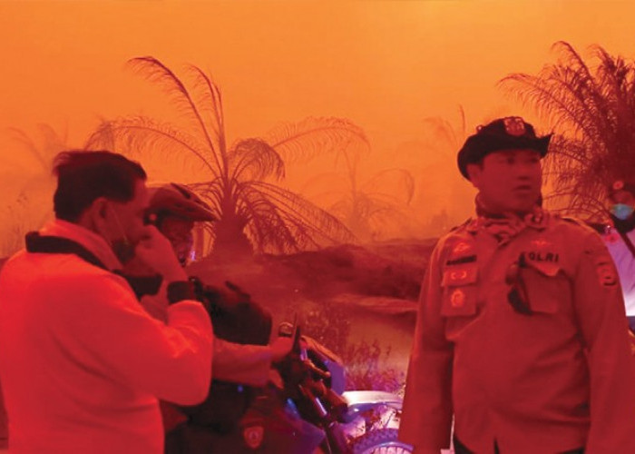 Hati-hati! Jambi Riau dan Sumut Berpotensi Kebakaran Hutan Seperti Kejadian 2019 yang Bikin Langit Merah
