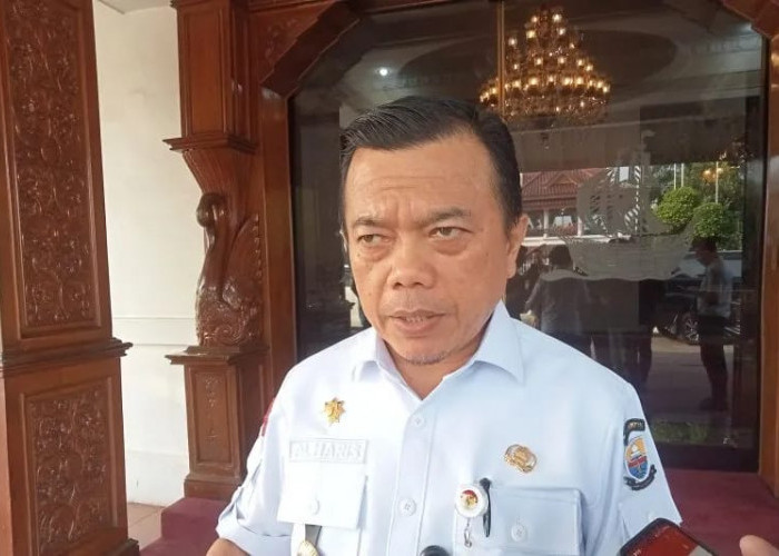 Pemerintah Gandeng Danantara dan Swasta Kembangkan Hilirisasi Kelapa