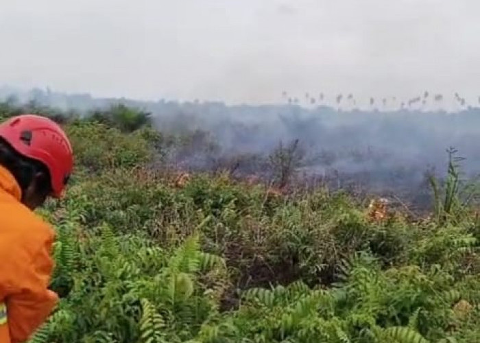 Lahan 8 Hektare Terbakar di Lagan Tengah