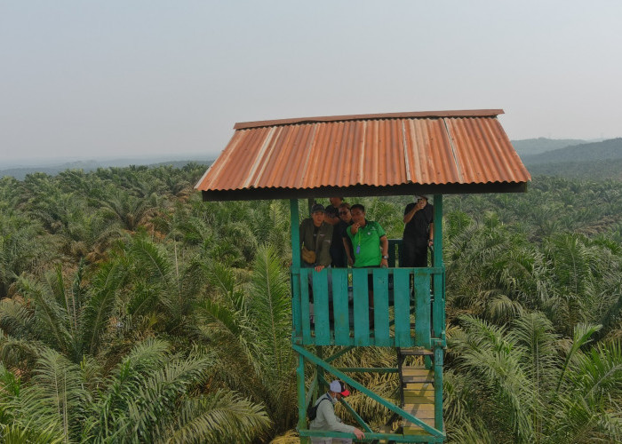 Embung dan Menara Pantau Jadi Titik Vital Cegah Karhutla di BBB