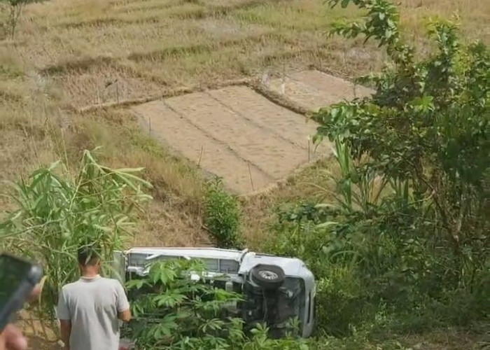 Sebuah Mobil Terjun ke Jurang di Pendakian Bukit Tengah Siulak, Sopir Dilarikan ke Puskesmas