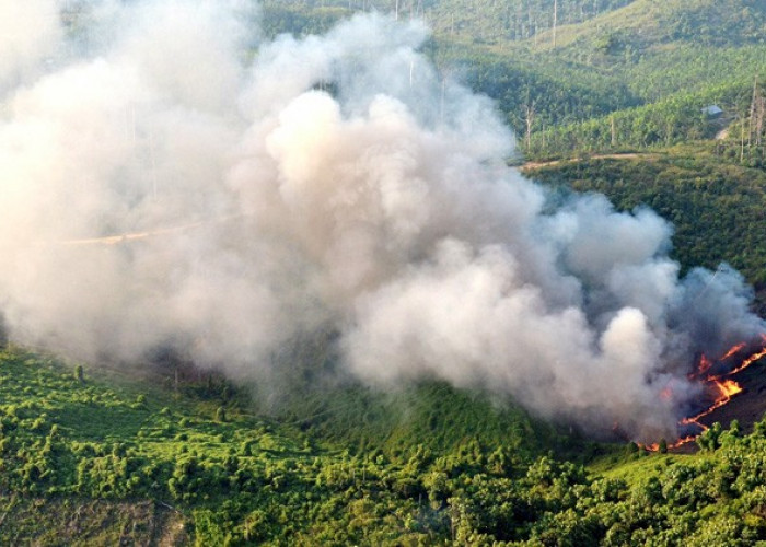 2023 Kebakaran Lahan dan Hutan Berpotensi Seperti 2019, Sekolah Diliburkan, Pesawat Batal Terbang,  Jangan!  