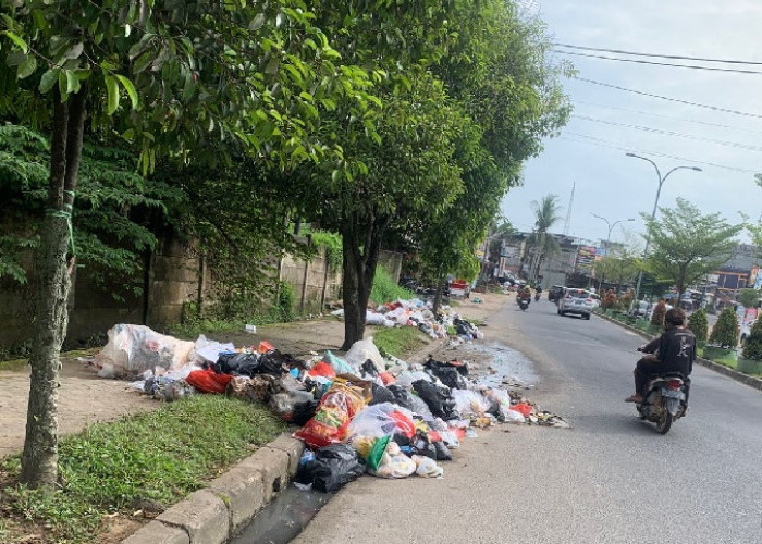 Sampah Makin Berserakan, Kota Jambi Darurat Sampah