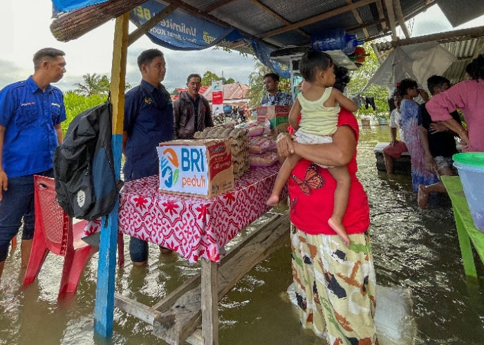 Tanggap Bencana Banjir, BRI Peduli Salurkan Bantuan Bagi Warga Terdampak di Luwu Utara dan Tanah Laut