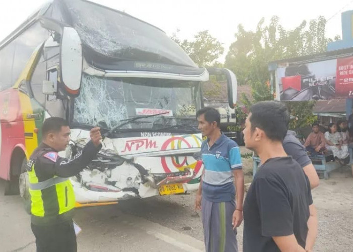 Dua Bus Bertabrakan di Jalan Lintas Jambi - Bungo Tak Ada Korban Jiwa