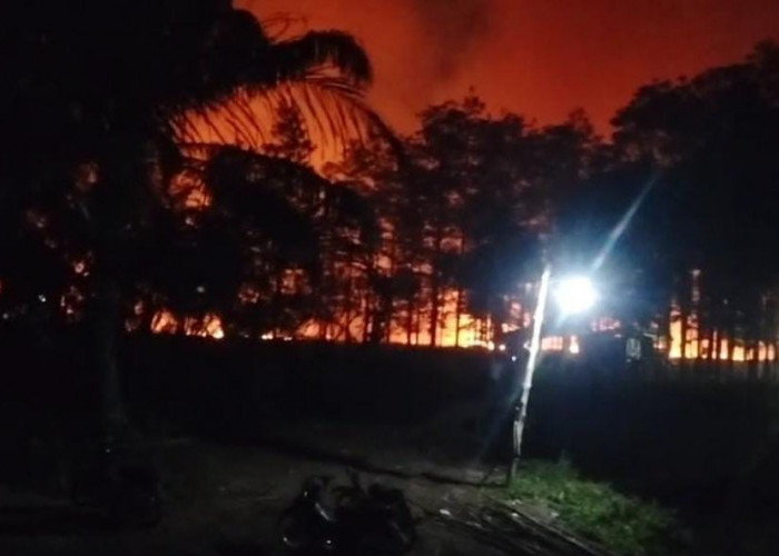 Karhutla Kembali Membara di Sungai Gelam, Tiga Helikopter Dikerahkan