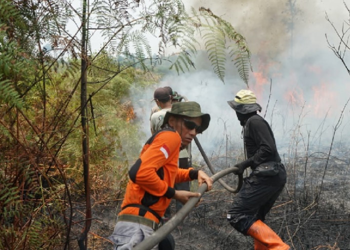 PT REKI Perkuat Pertahanan Hutan Harapan dari Karhutla