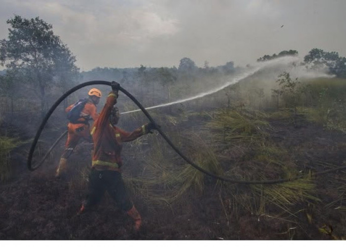 Cegah Karhutla Meluas di Kalimantan, PTPN IV PalmCo Perketat Patroli dan Mitigasi
