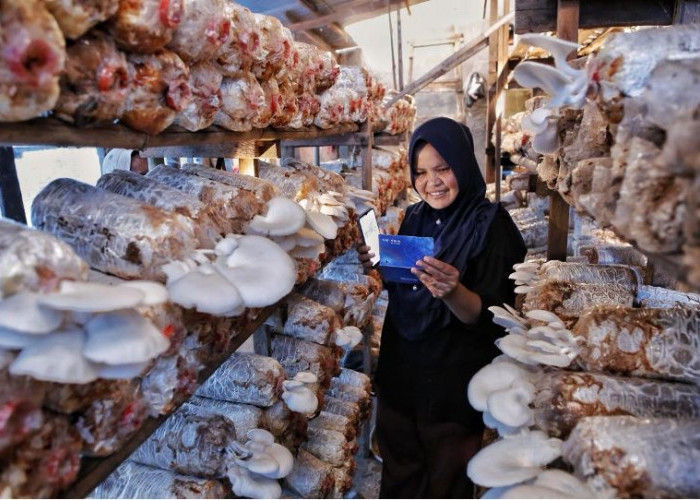 Indeks Bisnis UMKM BRI Triwulan II : Ketahanan UMKM Terjaga, Ditopang Optimisme Prospek Usaha