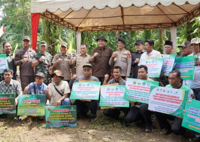 Luas Tanam Sawah di Merangin Naik 11 Persen, Bupati M Syukur Pacu Bantuan Alsintan dan Infrastruktur