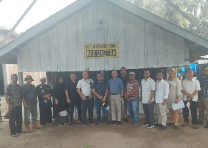 Lagi, PTPN 6 Remajakan 226 Hektar Sawit Rakyat 
