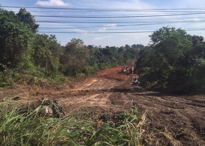 Jalan Khusus Angkutan Batu Bara Membelah Mendalo, Sudah Mulai Land Clearing