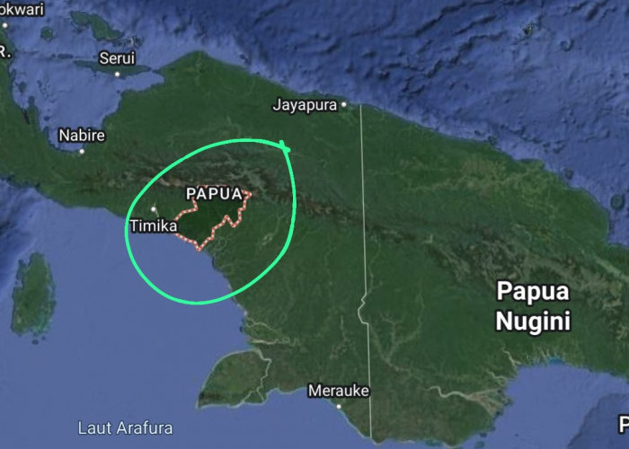 RI Temukan Cekungan Berisi Harta Karun di Papua