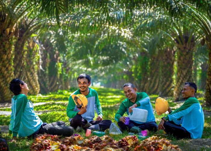 PalmCo Serap 70 Ribu Tenaga Kerja, Bidik Peluang Baru dari Hilirisasi Sawit
