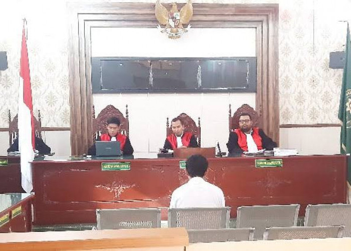 Pengusutan Kasus Mafia Tanah di Kantor BPN Bungo Diminta Tidak Terhenti Sebatas Honorer Saja