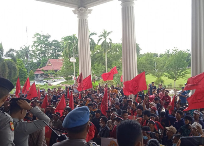 Ratusan Petani Unjuk Rasa di Kantor Gubernur dan DPRD Jambi, Bawa 4 Tuntutan Ini