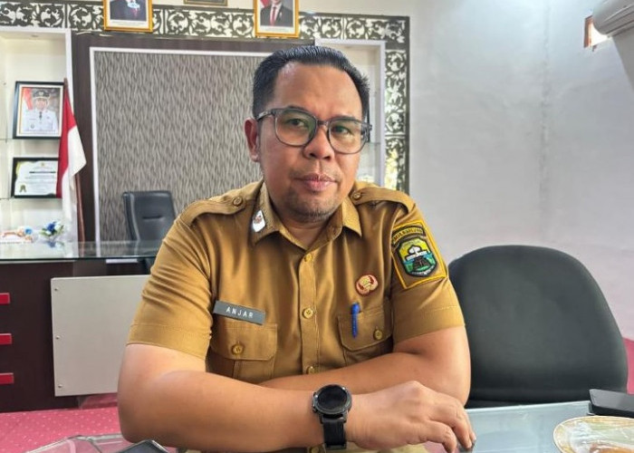 Pelebaran Jalan Mendalo Masih Tahap FS, Kadis PUPR Muaro Jambi Tunggu Hasil Balai Jalan