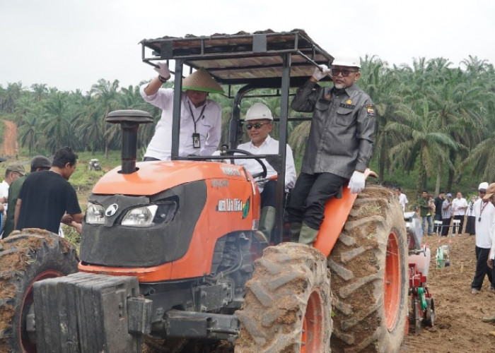 Komitmen Wujudkan Food Security, PTPN IV PalmCo Perluas Program Tanam Padi PTPN ke Provinsi Jambi