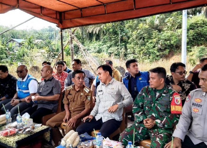Dedy Putra Resmikan Jaringan Listrik di Tiga Kawasan Transmigrasi